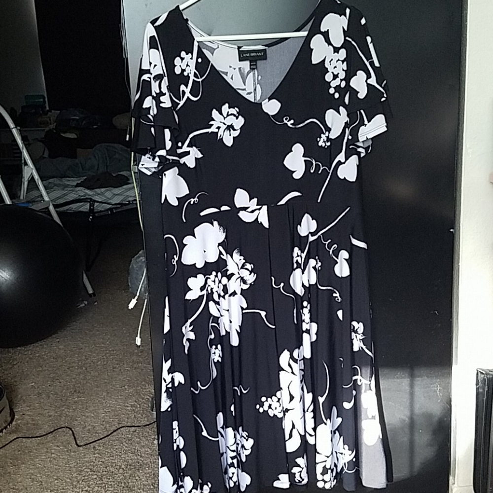 Box-Pleat Fit & Flare Floral Dress 14/16